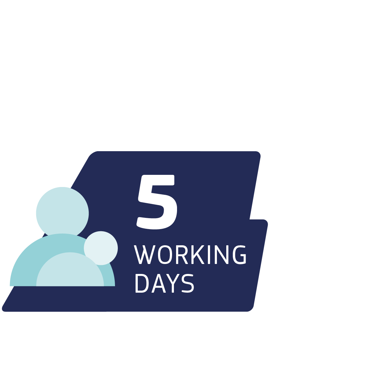 5 working days