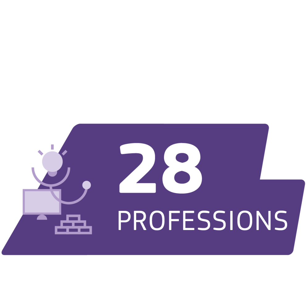28 professions