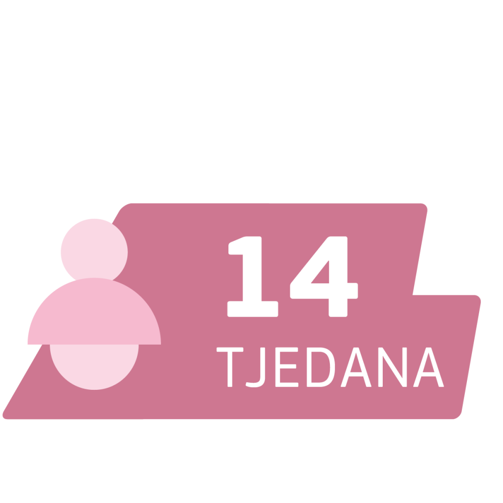 14 tjedana