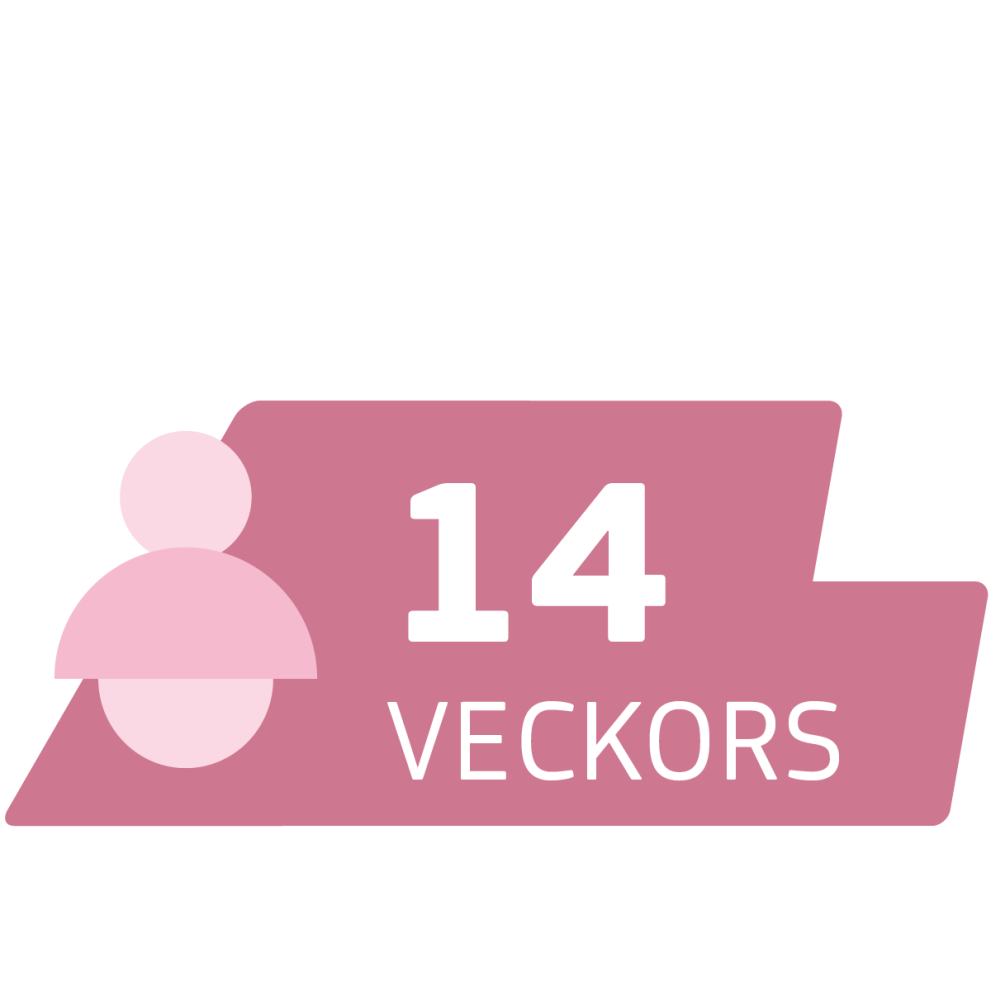 14 veckors